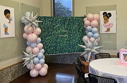 Baby Shower